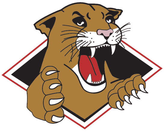 Prince George Cougars 2002-2008 Primary Logo iron on transfers for clothing